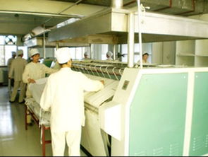 把握商機，承接優質資產 現成水洗廠整體與技術轉讓詳解